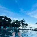 투투마트 이미지