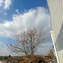 뒤뜰농장 이미지