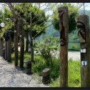 강원냉면 이미지