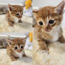 경주시 동물사랑보호센터 동물병원 이미지