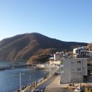 대항새바지 이미지