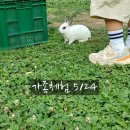 청아곤충놀이터