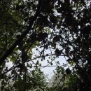 대진보건진료소 이미지