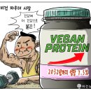 프로틴더하다 비건뉴스