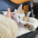 어썸칸 | 태안 오션뷰 펜션 내돈내산 / 신두리 실내 바베큐 어썸칸펜션 후기