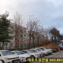 ㈜두손건설 | 기흥아랫마을아파트 소나무 수목전지 조경공사 - 대호조경건설