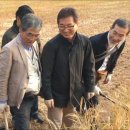 다백농장 이미지