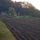 사월2리 이미지