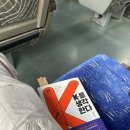 두사충의 뽕나무 사 | 영남(嶺南)의 근본, 대구 여행기 (부제: 대구의 지정학)