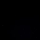 초콜릿키즈 이미지