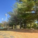 관문체육공원 인라인스케이트장 이미지