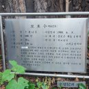 석정주유소 | 숲속도서관과 함께 걷는 &lt;밤의 풍경 속으로&gt; 2회 후기