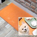 멍멍식탁 이미지