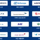 스카이팀 이미지