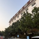 제주 역대급 가성비 호텔: 헤이 서귀포 내돈내산 후기(패밀리 트윈 4인실)