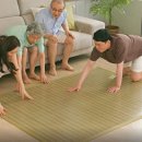 건강백세(100%) 이미지