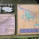 세포마을 이미지