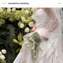 만다린 | W1. 아이폰스냅 계약 후기(만다린스냅)