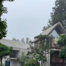 채우다제주