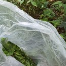 계촌농장 이미지