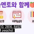멘토1학사