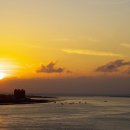 강아지&고양이 마을 이미지