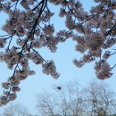 신남초등학교 이미지