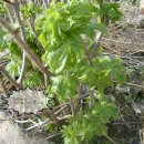 성림농장 이미지