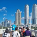 코리아나나이트클럽 이미지