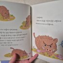 퍼펙트독 | 빨간펜 퍼펙트 문해력 만족후기!