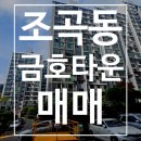 금호행정사 이미지