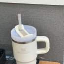 스탠리버튼 이미지