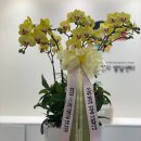 도란도란언어심리발달센터 이미지