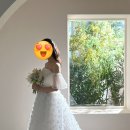W12. 웨딩촬영 후기 [세미앙 대구] 드레스/헤어/나철수작가님/영미헬퍼님
