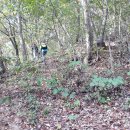 신기초등학교 건너 이미지