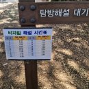 비자림의아침