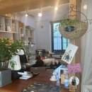 씨유 경주삼보타운점 | 경주 황성동 샐러드맛집 드디어 찾았다! [프레시런] 스테이크 포케&amp;연어 포케 먹음
