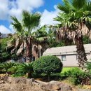 준희마을 이미지