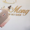 베이비몽 이미지