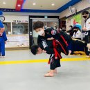 본국무예원 합기도, 검도, 국궁활쏘기 옥정본관 이미지