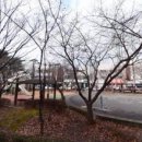 샘말 공영주차장 이미지