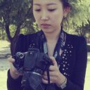 뉴욕매니아 이미지