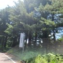 아난티글럽(구 리츠칼튼) | 가평 아난티CC 골프 라운딩후기🤗