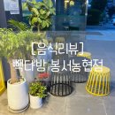 빽다방파주봉서농협점 | 산책 겸 자주 들리는 빽다방 파주봉서농협점