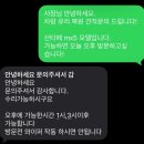유리복원 | 내돈내산/앞유리 복원 후기, 대전 [다온다 자동차유리]