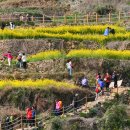 남해-108 이미지