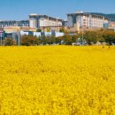 신화로R 이미지