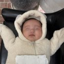 래빗문스튜디오 | 쌍둥이 50일 사진촬영 하고 왔오요~ 다산 ‘하바나문 스튜디오’ 내돈내산 후기