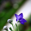 물향기공원 이미지