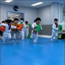 화신태권도 이미지